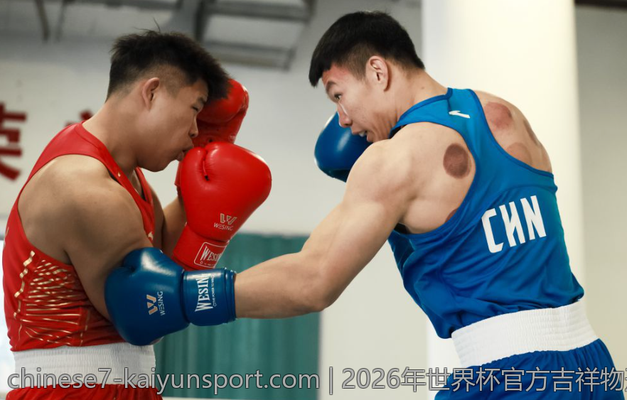 2026年世界杯官方吉祥物形象的多样化与创新表达